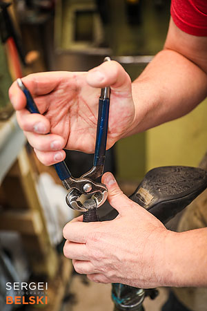 airdrie editorial photographer sergei belski photo