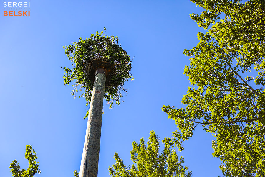 fortis alberta calgary corporate photographer sergei belski photo