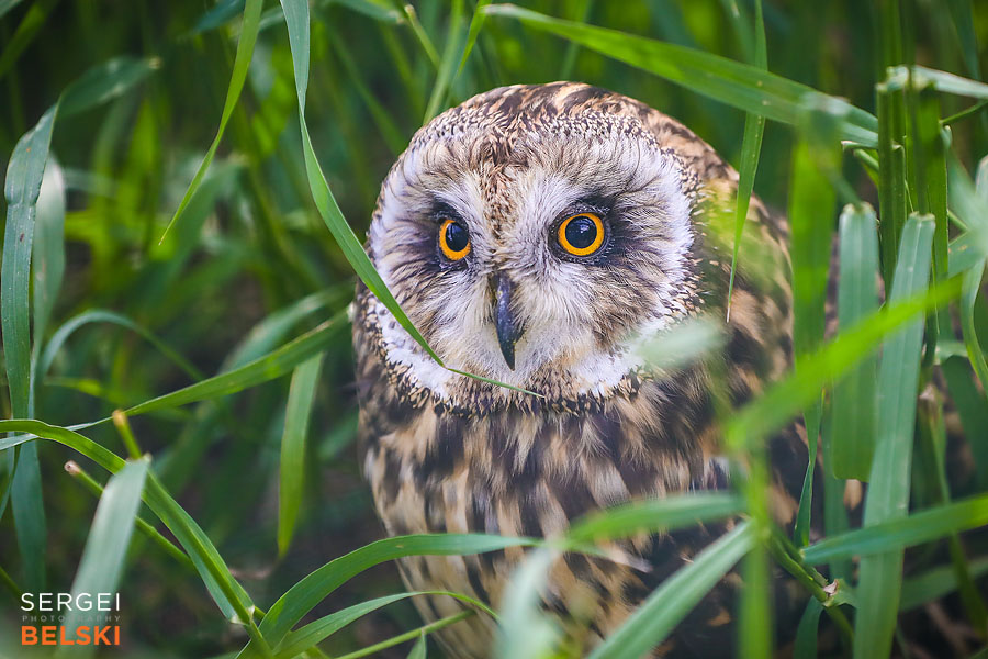 travel saskatoon photographer sergei belski photo