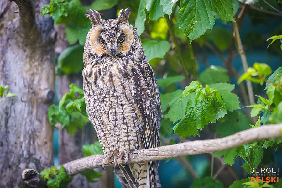 travel saskatoon photographer sergei belski photo