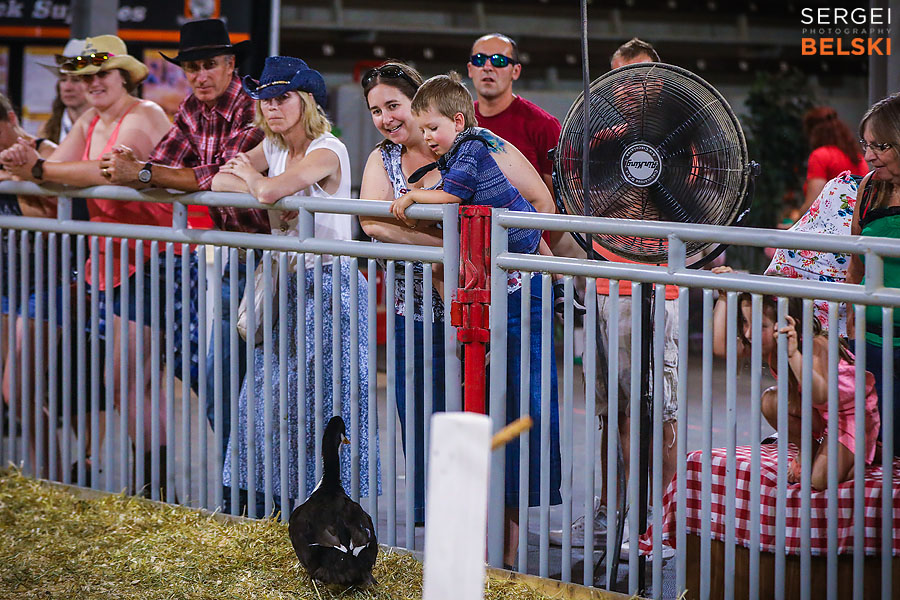 stampede calgary family photographer sergei belski photo