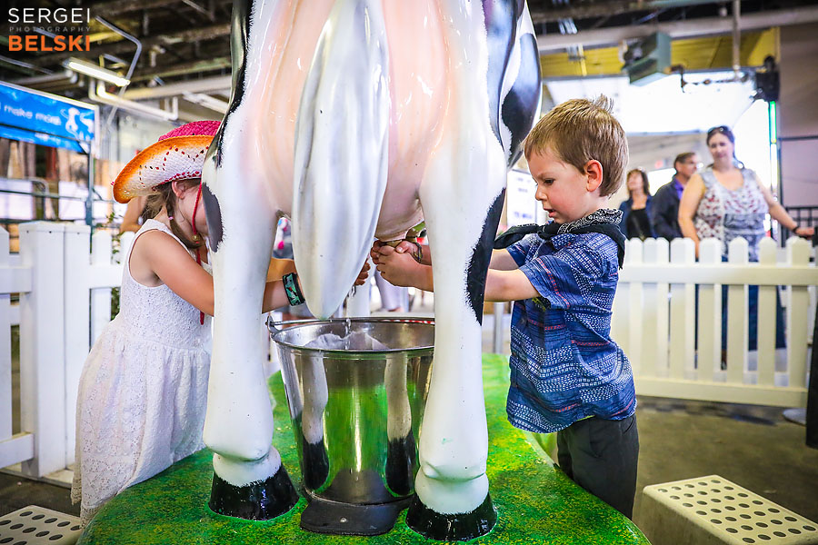 stampede calgary family photographer sergei belski photo