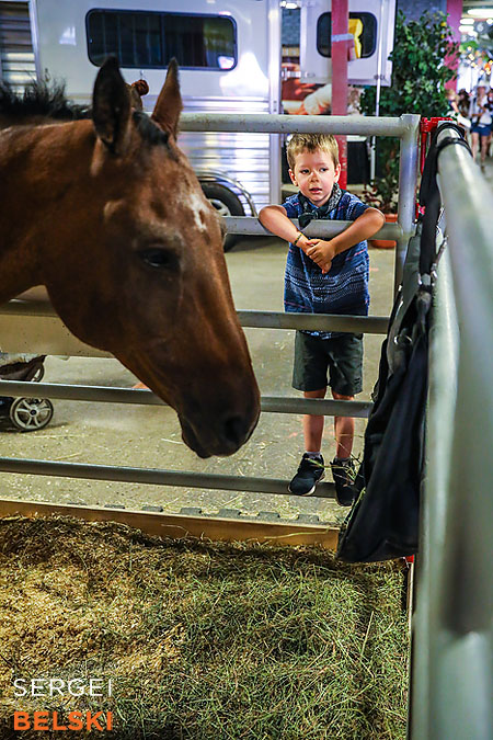 stampede calgary family photographer sergei belski photo