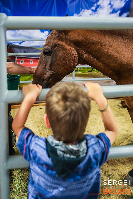 stampede calgary family photographer sergei belski photo
