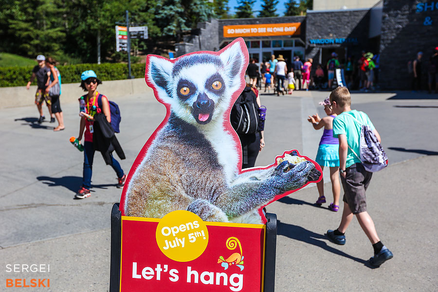calgary zoo event photographer sergei belski photo