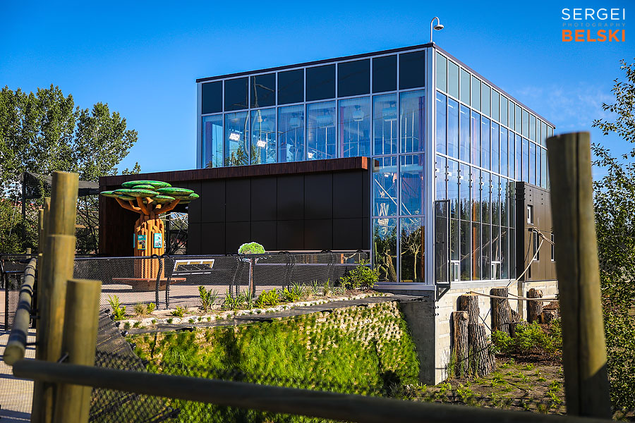 calgary zoo event photographer sergei belski photo