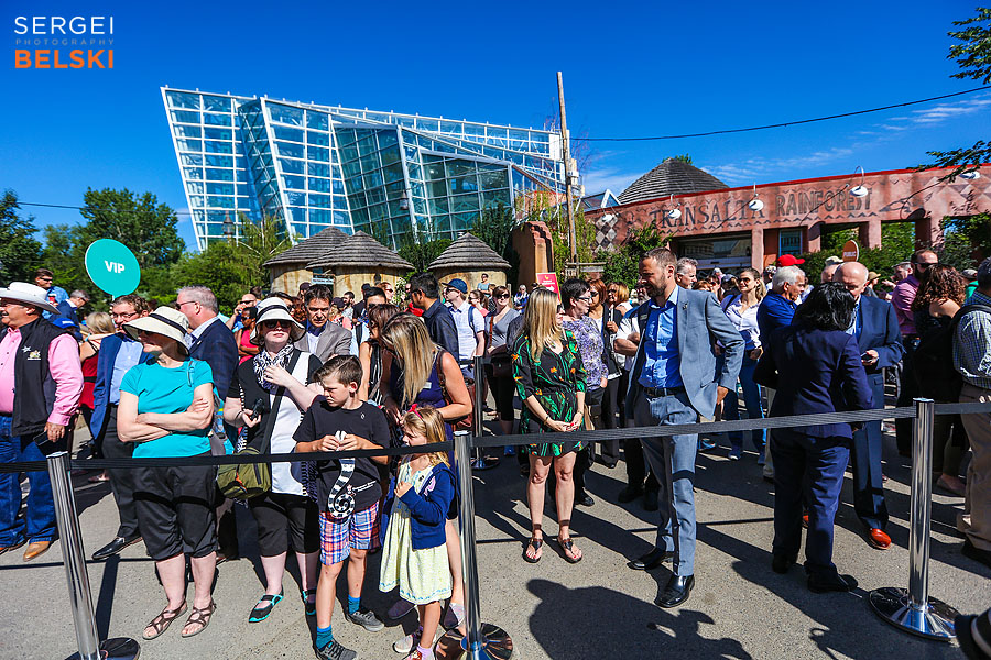 calgary zoo event photographer sergei belski photo