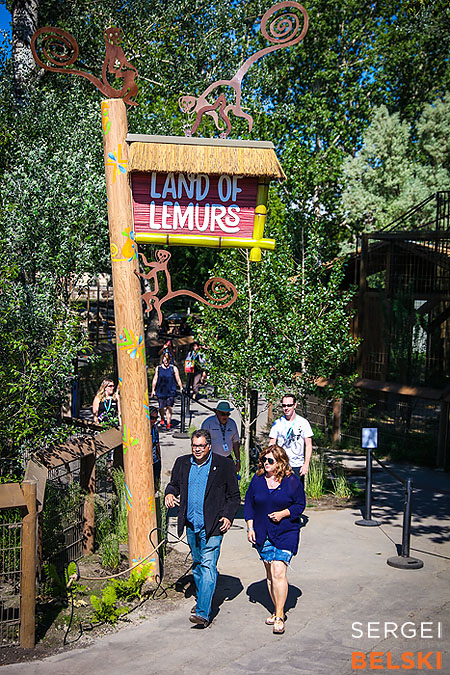 calgary zoo event photographer sergei belski photo