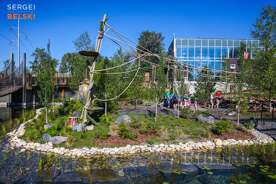 calgary zoo event photographer sergei belski photo