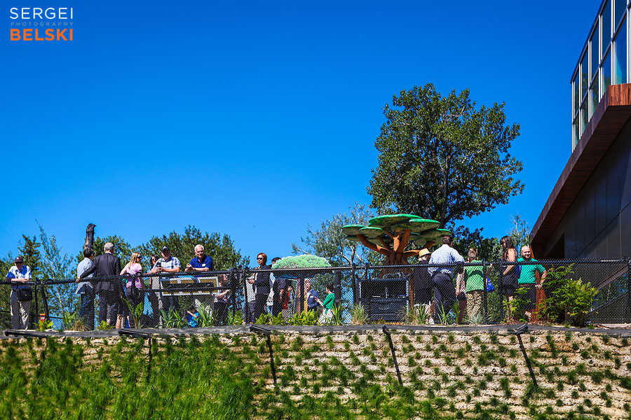 calgary zoo event photographer sergei belski photo