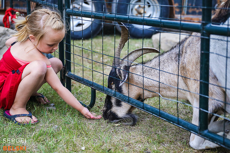 airdrie event photographer sergei belski photo