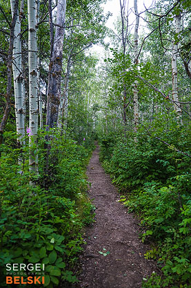 camping family trip photographer sergei belski photo