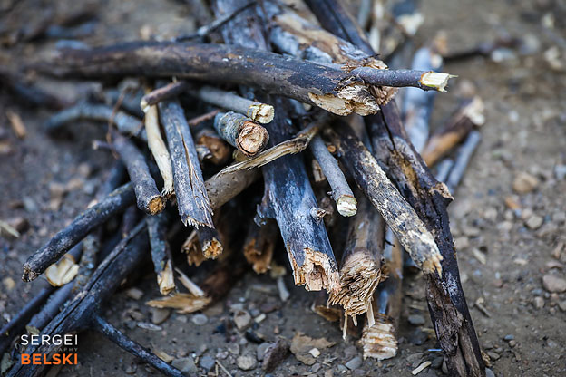 camping family trip photographer sergei belski photo