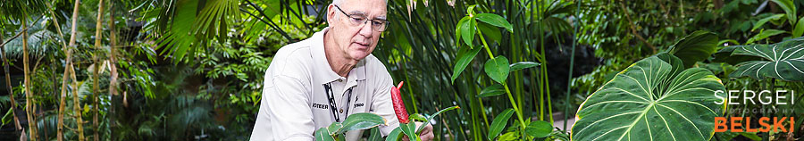 calgary zoo photographer sergei belski photo