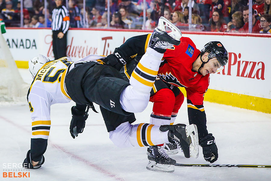 nhl hockey calgary sports photographer sergei belski photo
