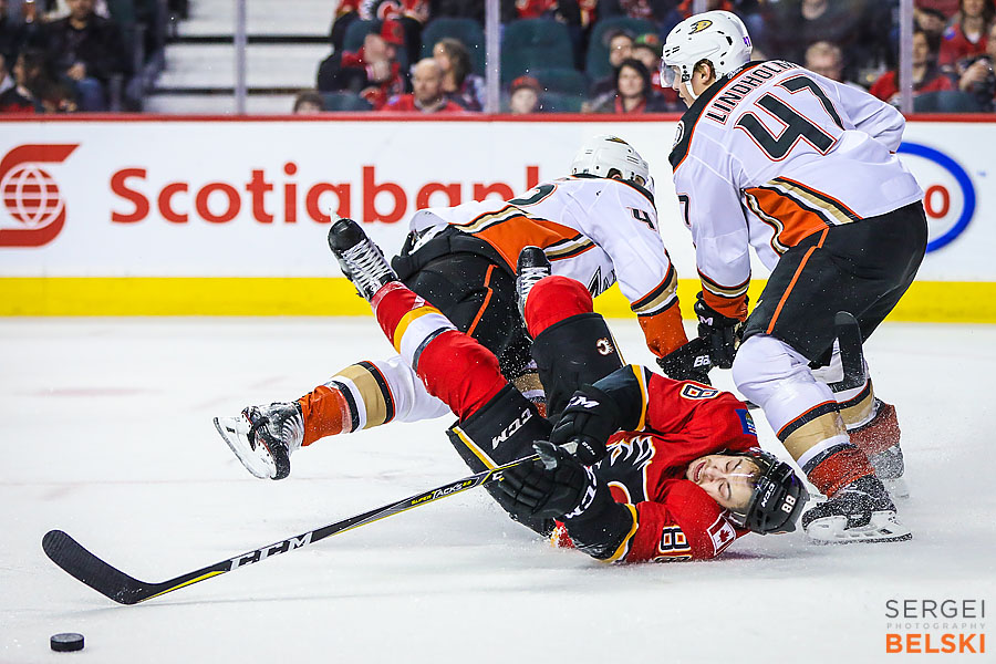 nhl hockey calgary sports photographer sergei belski photo