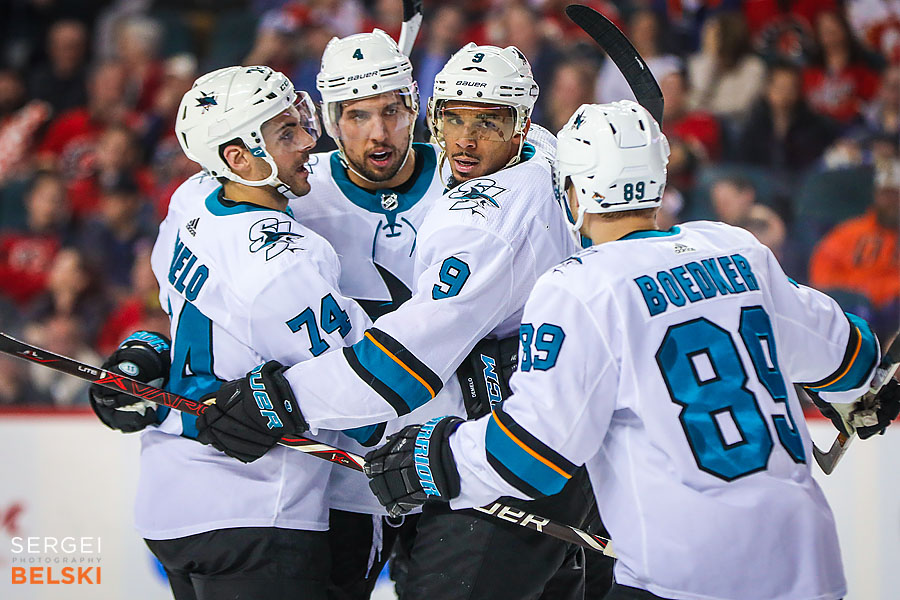 nhl hockey calgary sports photographer sergei belski photo