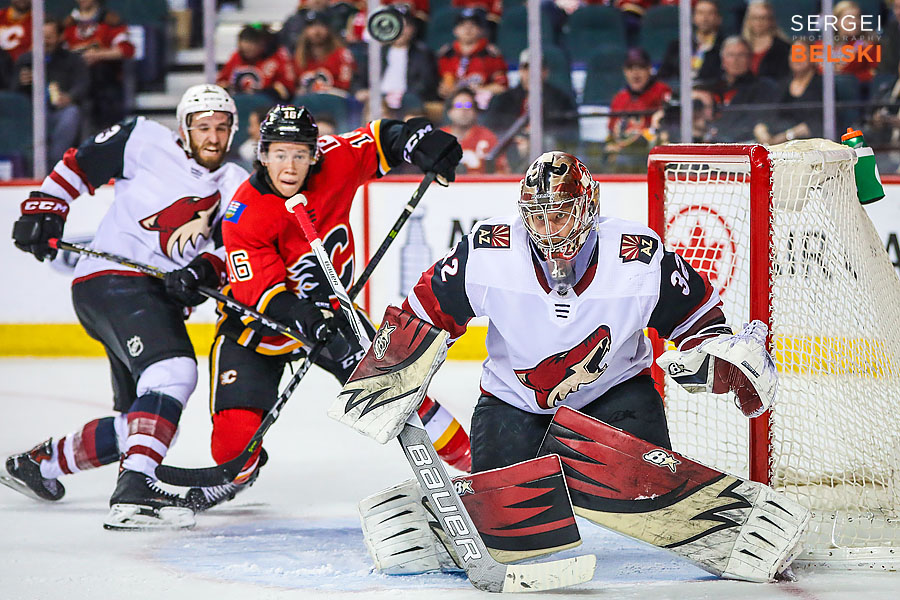 nhl hockey calgary sports photographer sergei belski photo