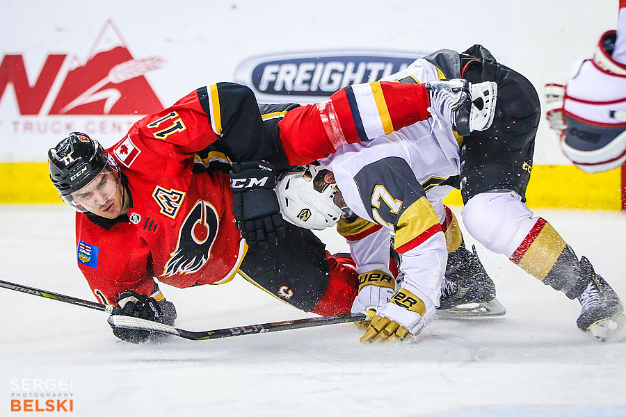 nhl hockey calgary sports photographer sergei belski photo