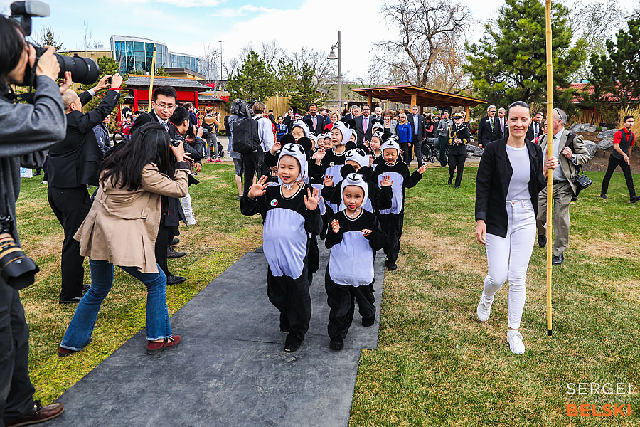 calgary zoo event photographer sergei belski photo
