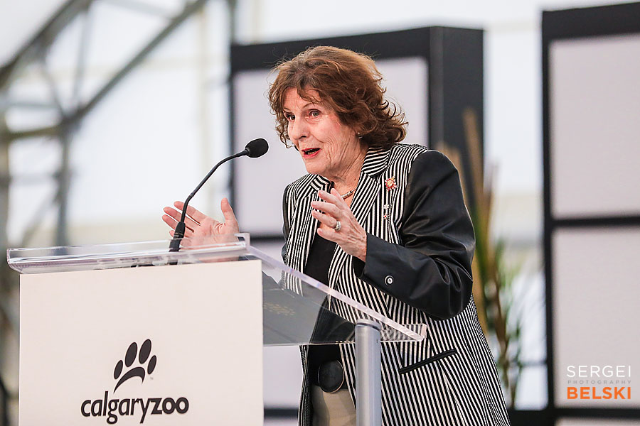 calgary zoo event photographer sergei belski photo