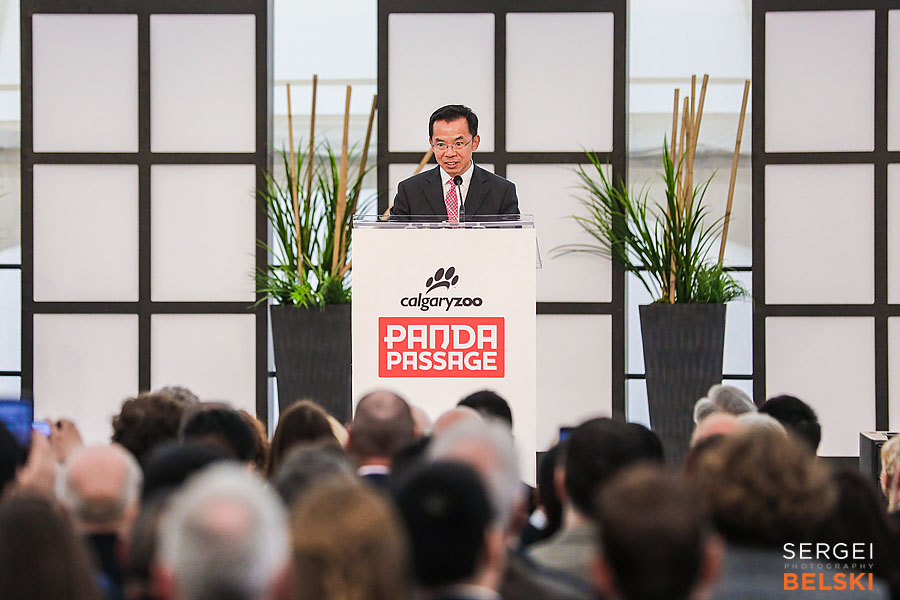 calgary zoo event photographer sergei belski photo