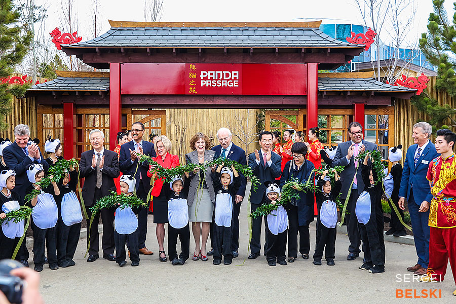 calgary zoo event photographer sergei belski photo