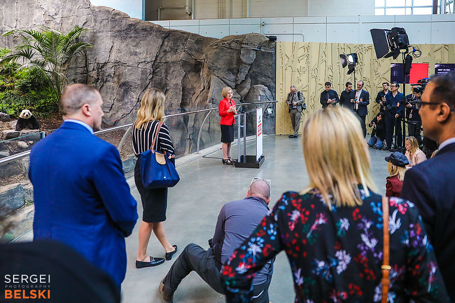 calgary zoo event photographer sergei belski photo