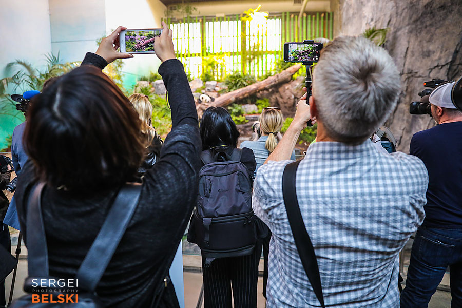 calgary zoo event photographer sergei belski photo