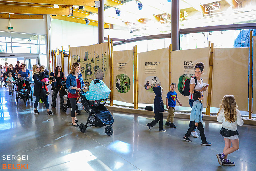 calgary zoo event photographer sergei belski photo