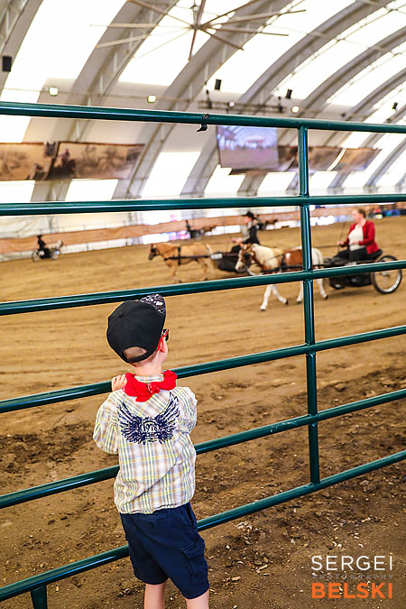 stampede calgary family photographer sergei belski photo