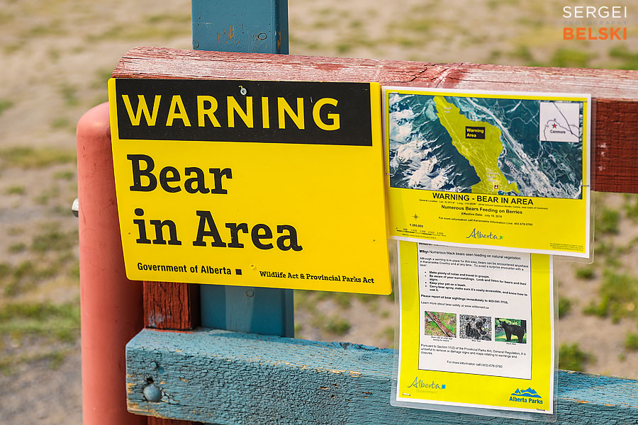 Canmore family photographer sergei belski photo