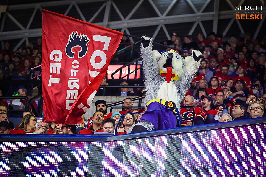 nhl hockey calgary sports photographer sergei belski photo