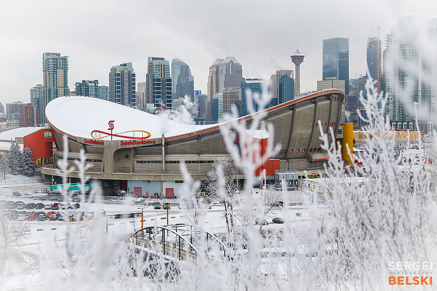 nhl hockey calgary sports photographer sergei belski photo