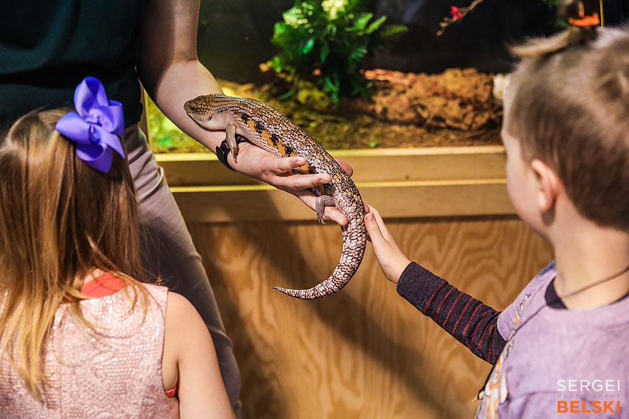 animal show photographer sergei belski photo