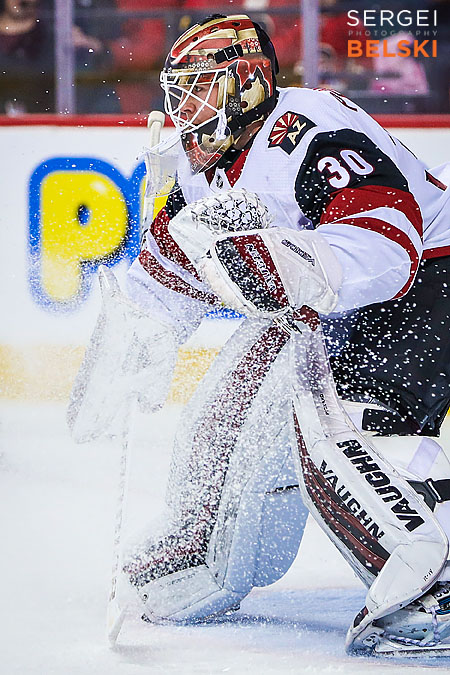 nhl hockey calgary sports photographer sergei belski photo