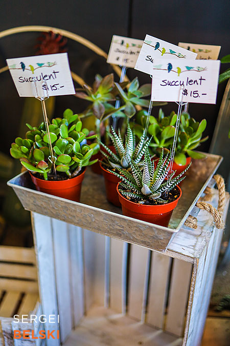 fortis alberta calgary commercial photographer sergei belski photo