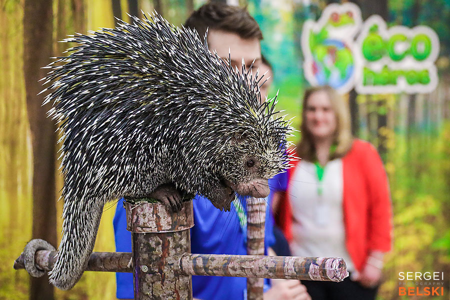 fortis alberta calgary commercial photographer sergei belski photo