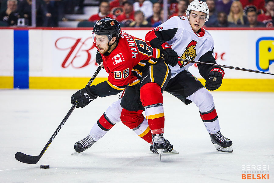 nhl hockey calgary sports photographer sergei belski photo
