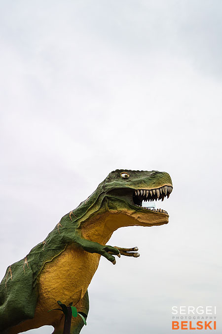 my tesla adventures photographer sergei belski photo