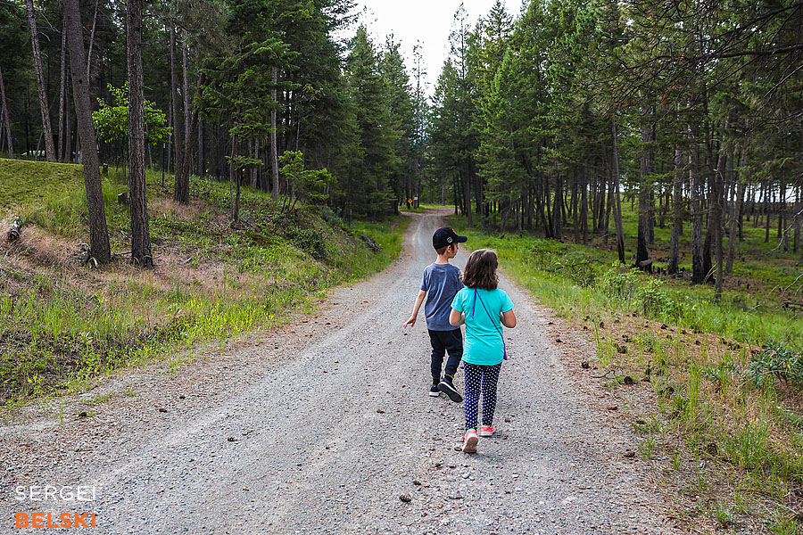 my tesla adventures photographer sergei belski photo