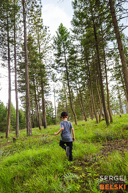 my tesla adventures photographer sergei belski photo