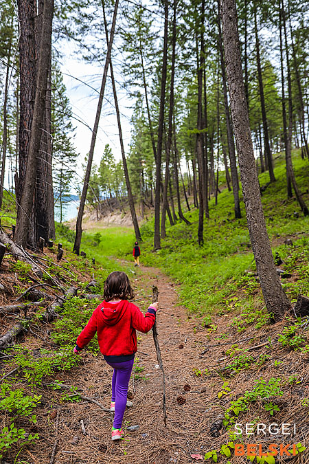 my tesla adventures photographer sergei belski photo