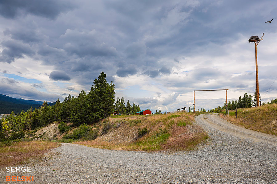 my tesla adventures photographer sergei belski photo