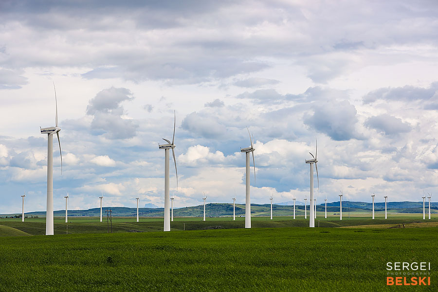 my tesla adventures photographer sergei belski photo