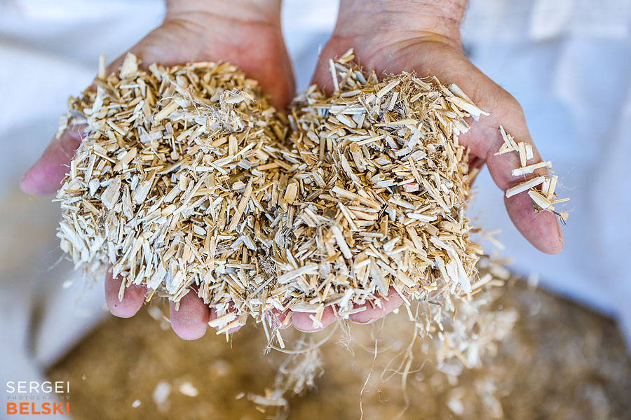 airdrie editorial photographer sergei belski photo