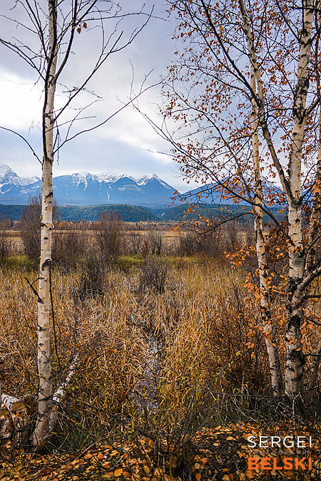 my tesla adventures Vancouver road trip photographer sergei belski photo