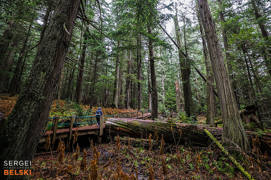 my tesla adventures Vancouver road trip photographer sergei belski photo
