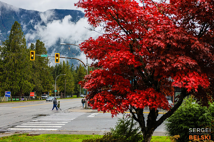 my tesla adventures Vancouver road trip photographer sergei belski photo