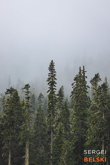 my tesla adventures Vancouver road trip photographer sergei belski photo